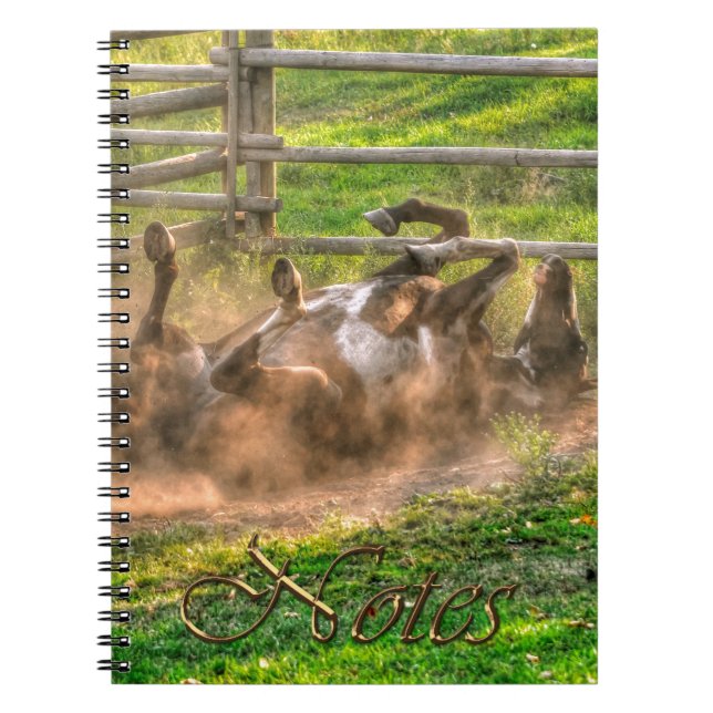 Paint Horse Rolling in Dust Funny Equine Photo Anteckningsbok (Framsidan)