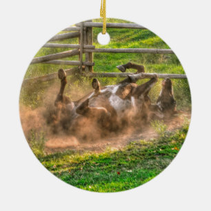 Paint Horse Rolling in Dust Funny Equine Photo Julgransprydnad Keramik