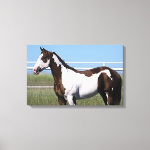 Paint Horse Ständiga Canvastryck