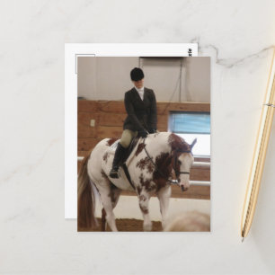 Paint Horse vid ett hästbildspel Vykort