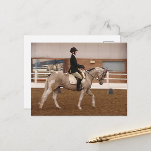 Paint Horse vid ett hästbildspel Vykort (Fram/Back In Situ)