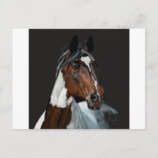 Paint Horse Vykort