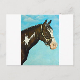 Paint Horse Vykort