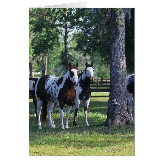 Paint Horses i Träd Hälsningskort (Framsidan)