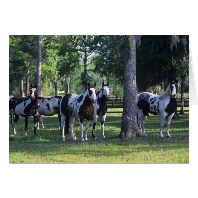 Paint Horses i Träd Hälsningskort (Framsidan Horizontal)
