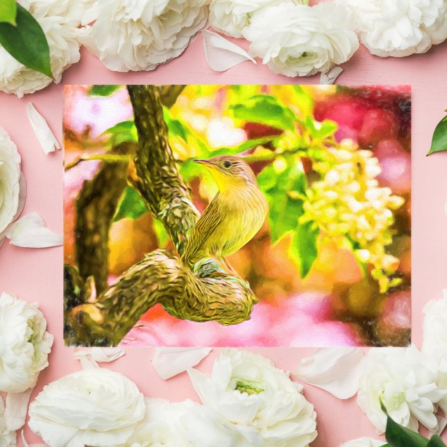 Paint House Wren Bird Postcard Vykort (Skapare uppladdad)