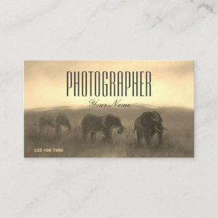 Paint Photo Bild Safari Sunset Photo Visitkort