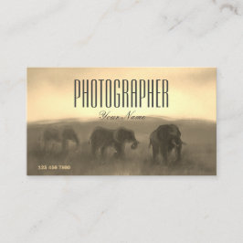 Paint Photo Bild Safari Sunset Photograf Visitkort