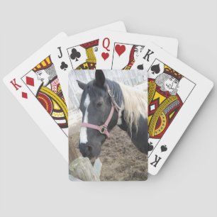 Paint Pinto Horse Kortlek