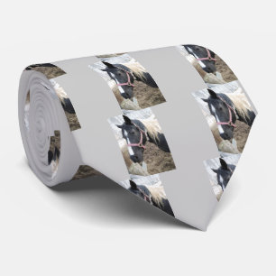 Paint Pinto Horse Slips