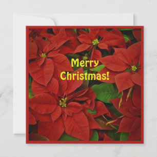 Paint Red Poinsettia Square Hälsning, jul Kort