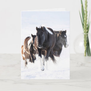 "Paint Snö Day II" - Vild Horse Greeting Card Kort