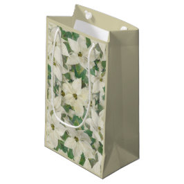 Paint Soft Poinsettia Garden Helgdag