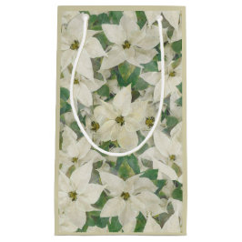 Paint Soft Poinsettia Garden Helgdag