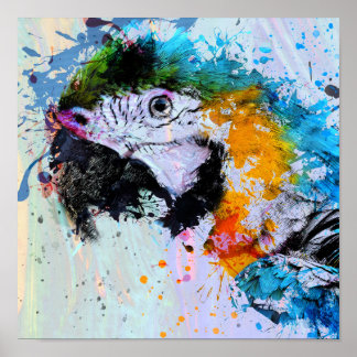 Paint Stänk Parrot | Poster utskrift