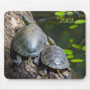 Paint Turtle Pair Musmatta