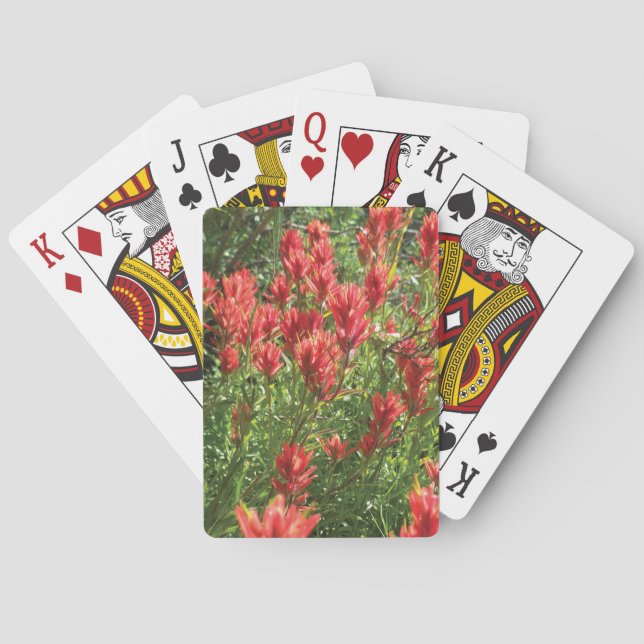 Paintbrush Playing Cards Casinokort (Baksidan)