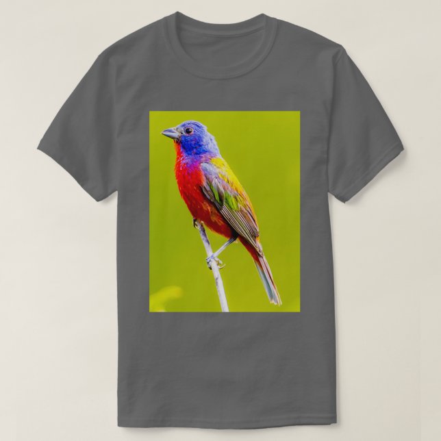 Painted Bunting 1 T Shirt (Design framsida)