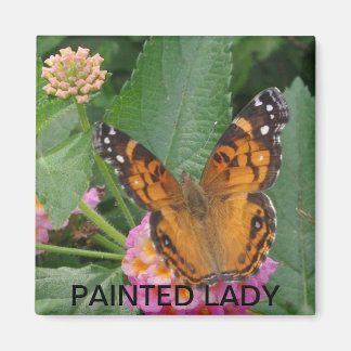 PAINTED DAM MAGNET