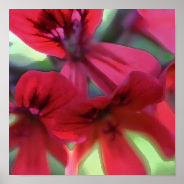 Painted Geranium Poster (Framsidan)