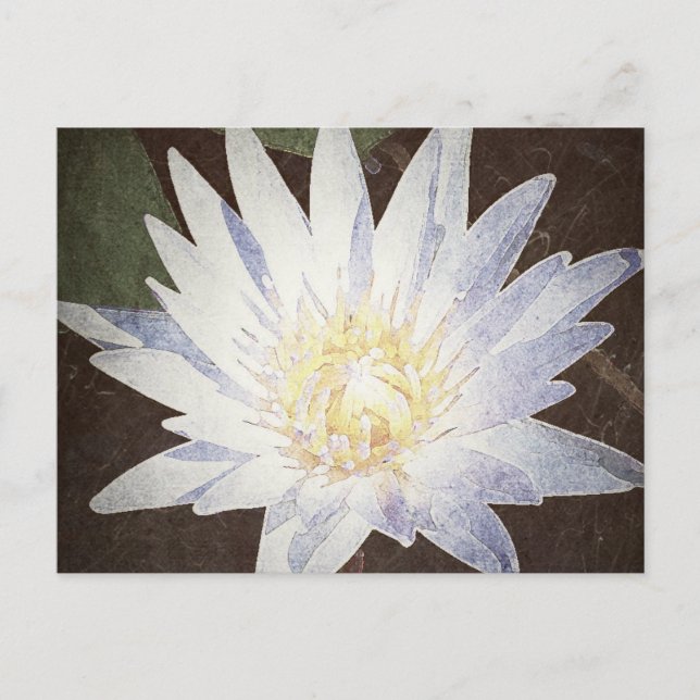 "PAINTED LOTUS" POSTCARD VYKORT (Framsida)