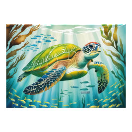 Painted Turtle Fototryck