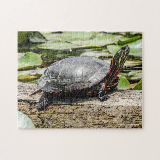 Painted Turtle Jigsaw Puzzle Pussel