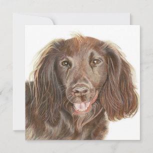 Painting Working Cocker Spain Hund Greeting Card