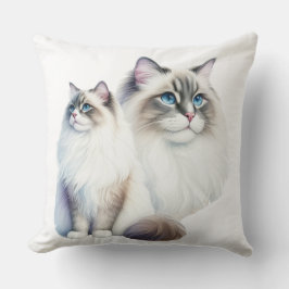 PAIR AV BEAUTIFULLT FLUFFY RAGDOLL CATS KUDDE