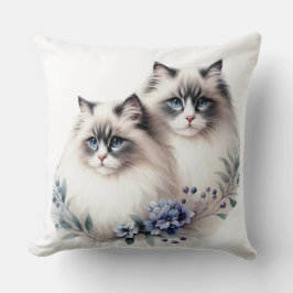 PAIR AV BEAUTIFULLT FLUFFY RAGDOLL CATS KUDDE