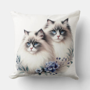 PAIR AV BEAUTIFULLT FLUFFY RAGDOLL CATS KUDDE