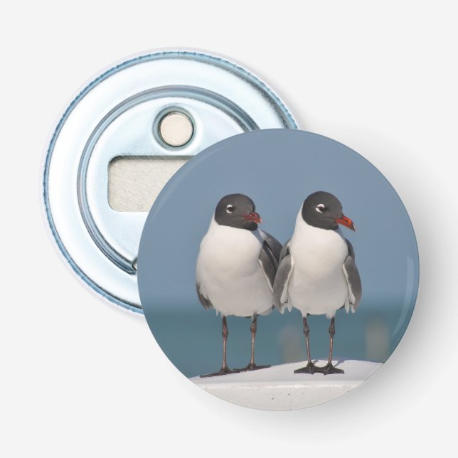 Pair of Black Headed Gulls Flasköppnare (Framsidan)