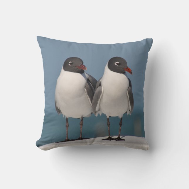 Pair of Black Headed Gulls Kudde (Framsida)