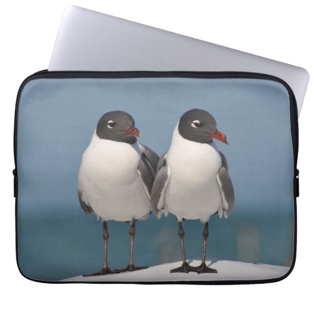 Pair of Black Headed Gulls Laptop Fodral (Framsidan)