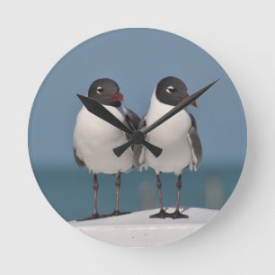 Pair of Black Headed Gulls Rund Klocka