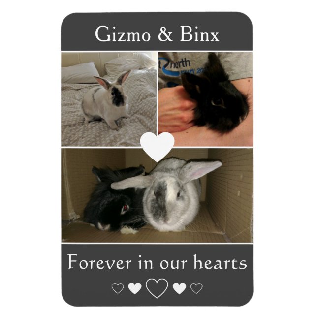 Pair of Bonded Bunnies Photo Memorial Magnet (Vertikal)
