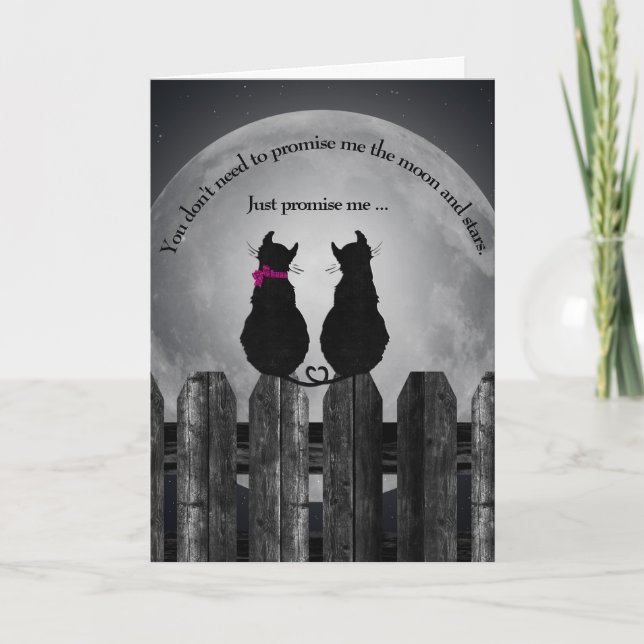pair of cats in the moonlight kort (Framsida)