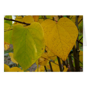 Pair of Fall Redbud Löv Autumn Photography Hälsningskort