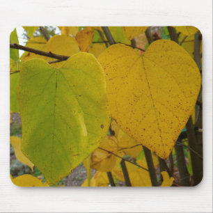 Pair of Fall Redbud Löv Autumn Photography Musmatta