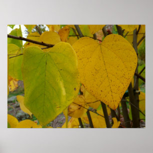 Pair of Fall Redbud Löv Autumn Photography Poster