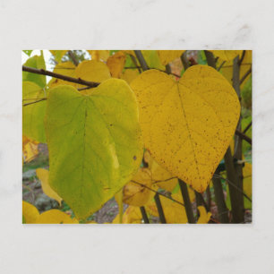 Pair of Fall Redbud Löv Autumn Photography Vykort