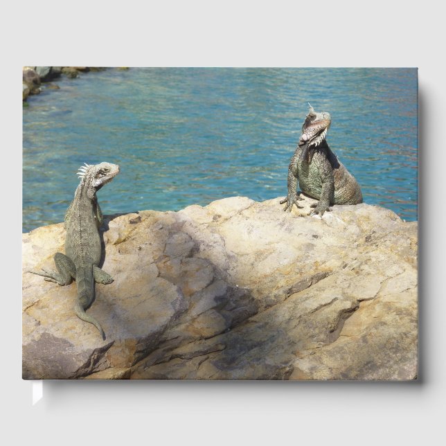 Pair of Iguanas Tropical Wildlife Photography Gästböcker (Framsida)