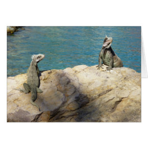 Pair of Iguanas Tropical Wildlife Photography Hälsningskort