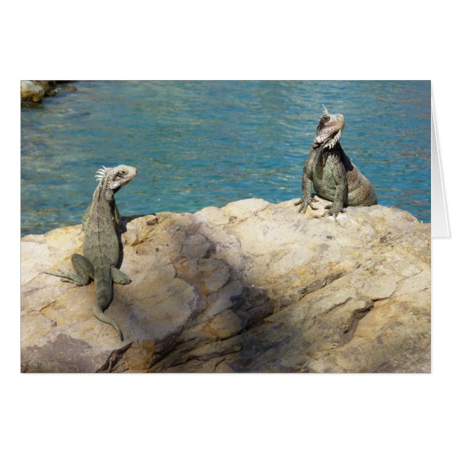 Pair of Iguanas Tropical Wildlife Photography Hälsningskort (Framsidan Horizontal)