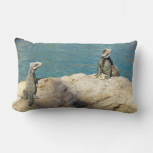 Pair of Iguanas Tropical Wildlife Photography Lumbarkudde