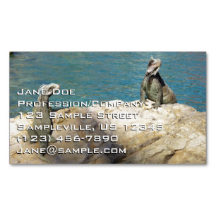 Pair of Iguanas Tropical Wildlife Photography Magnetiska Visitkort
