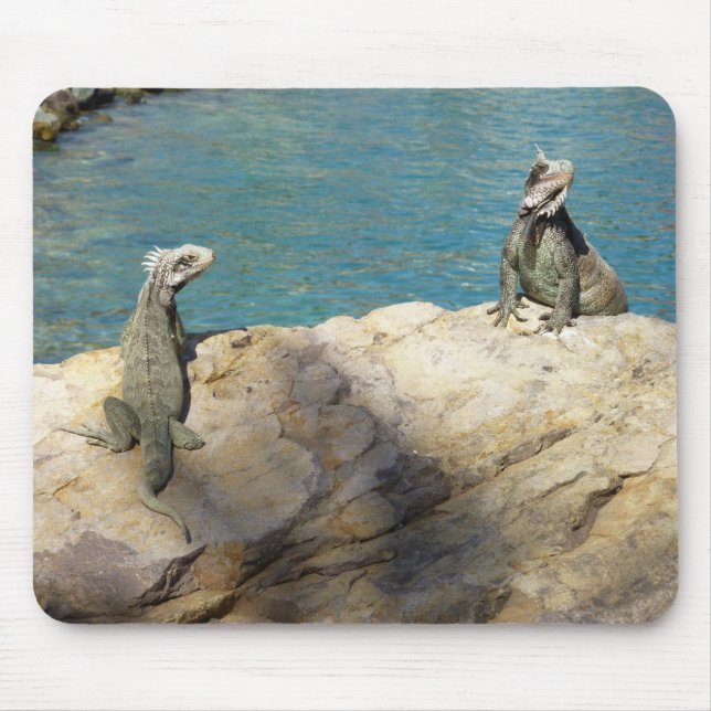 Pair of Iguanas Tropical Wildlife Photography Musmatta (Framsidan)