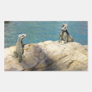 Pair of Iguanas Tropical Wildlife Photography Rektangulärt Klistermärke
