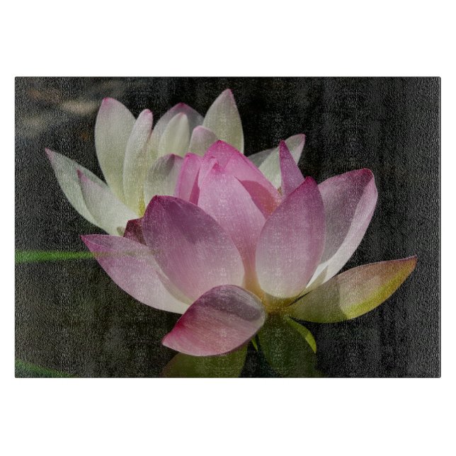 Pair of Lotus Flowers II (Framsidan)
