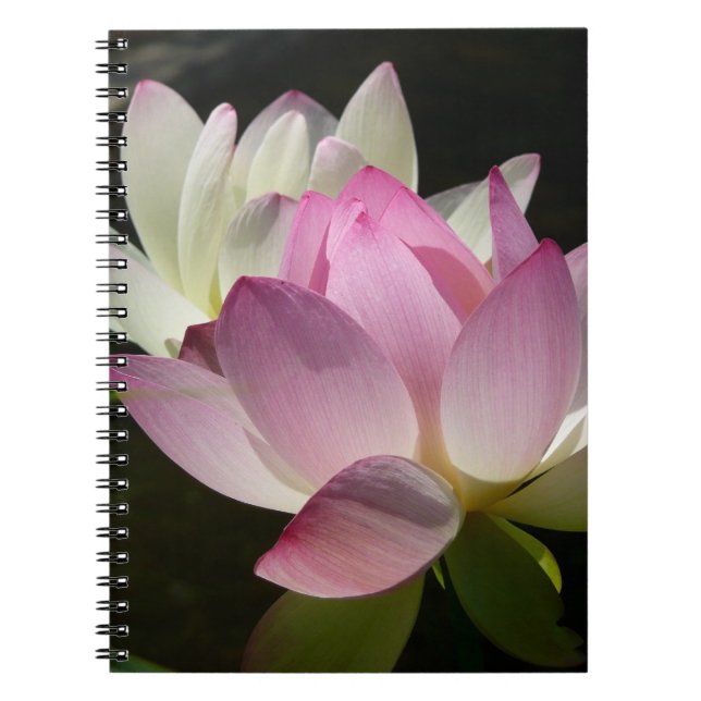 Pair of Lotus Flowers II Anteckningsbok (Framsidan)